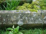 image of grave number 622496